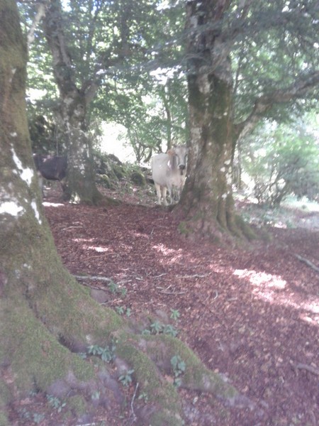 Millennium Trail (21/06/2015) 033