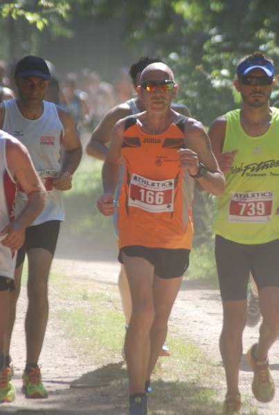 Trofeo Città di Nettuno (02/06/2015) 00004