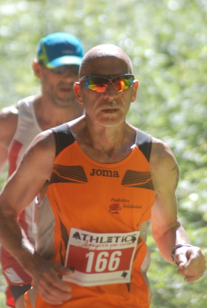 Trofeo Città di Nettuno (02/06/2015) 00011