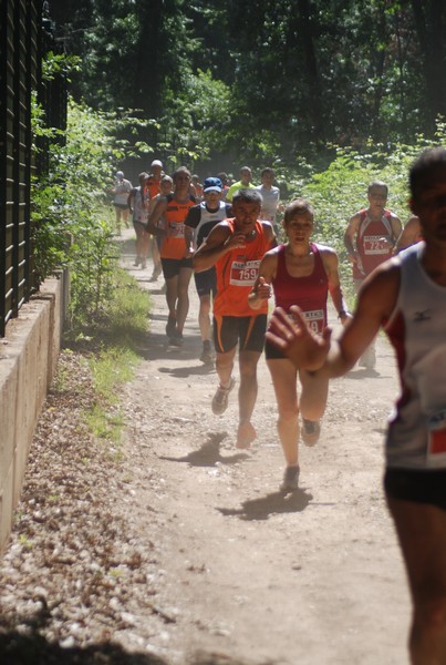 Trofeo Città di Nettuno (02/06/2015) 00014