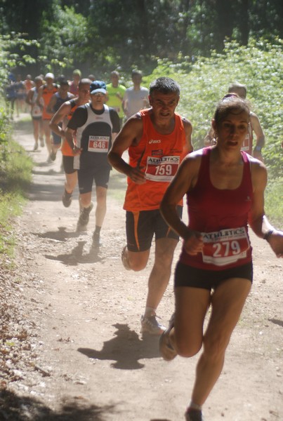 Trofeo Città di Nettuno (02/06/2015) 00017