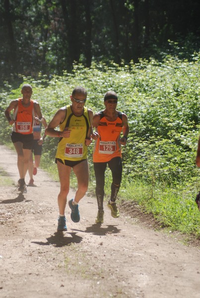 Trofeo Città di Nettuno (02/06/2015) 00030