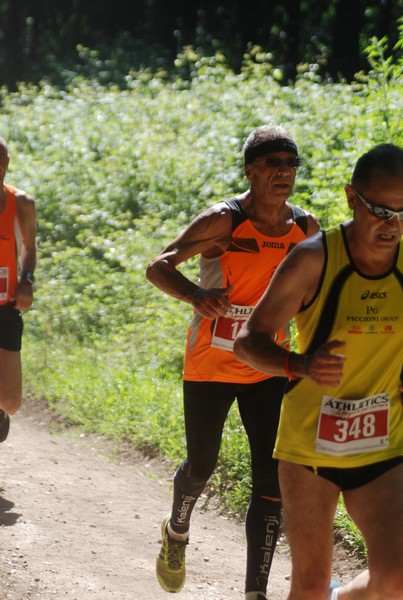 Trofeo Città di Nettuno (02/06/2015) 00032