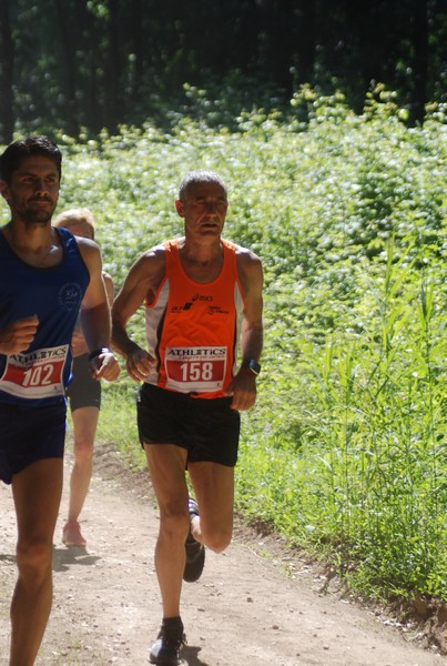 Trofeo Città di Nettuno (02/06/2015) 00033
