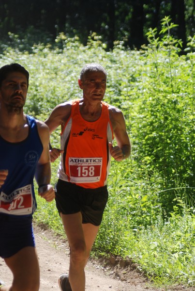Trofeo Città di Nettuno (02/06/2015) 00034