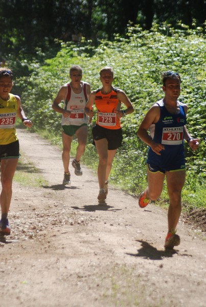 Trofeo Città di Nettuno (02/06/2015) 00076