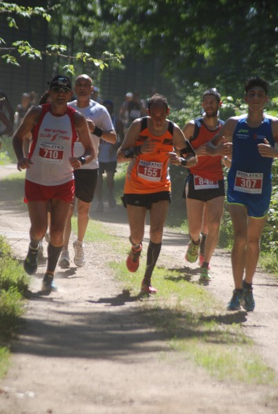 Trofeo Città di Nettuno (02/06/2015) 00131