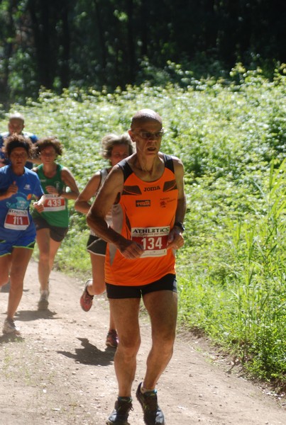 Trofeo Città di Nettuno (02/06/2015) 00148