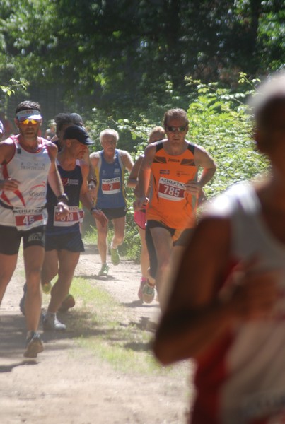 Trofeo Città di Nettuno (02/06/2015) 00158