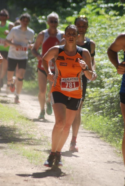 Trofeo Città di Nettuno (02/06/2015) 00169