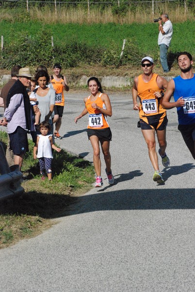 Amatrice Configno (C.E.) (23/08/2015) 00064