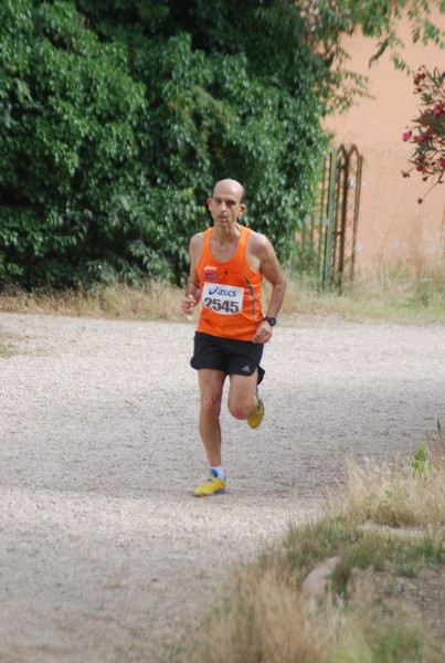 Solstizio d'estate ( C.E.)  (14/06/2015) 00001