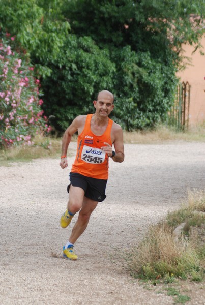 Solstizio d'estate ( C.E.)  (14/06/2015) 00004