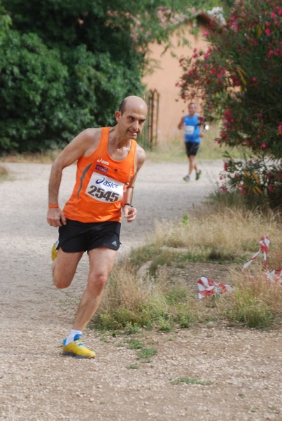 Solstizio d'estate ( C.E.)  (14/06/2015) 00005