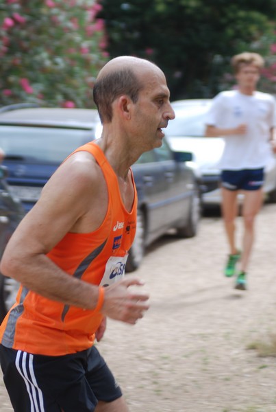Solstizio d'estate ( C.E.)  (14/06/2015) 00008