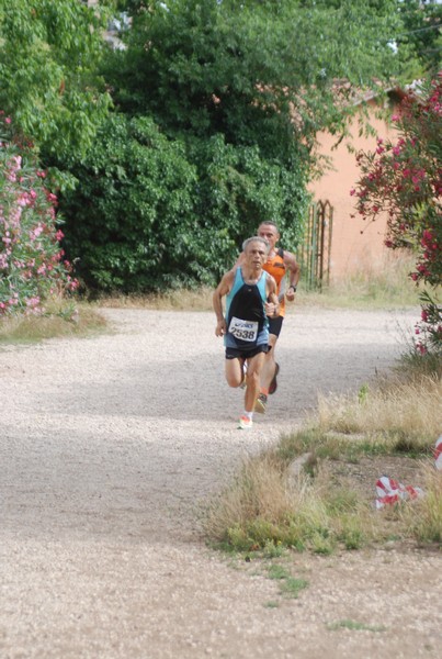 Solstizio d'estate ( C.E.)  (14/06/2015) 00009