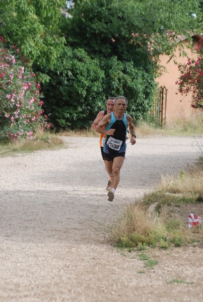 Solstizio d'estate ( C.E.)  (14/06/2015) 00010