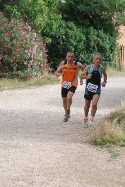 Solstizio d'estate ( C.E.)  (14/06/2015) 00011