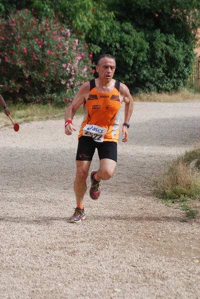 Solstizio d'estate ( C.E.)  (14/06/2015) 00013