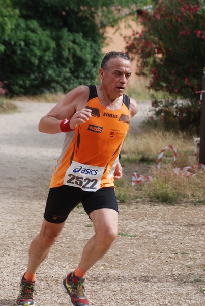 Solstizio d'estate ( C.E.)  (14/06/2015) 00014