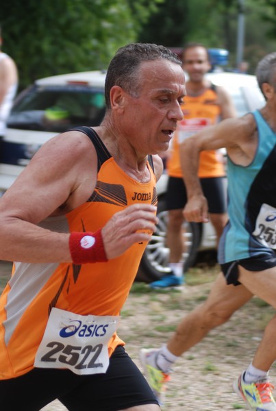 Solstizio d'estate ( C.E.)  (14/06/2015) 00015