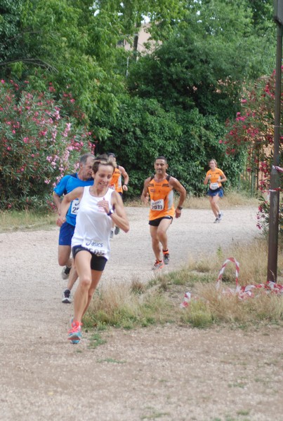 Solstizio d'estate ( C.E.)  (14/06/2015) 00016