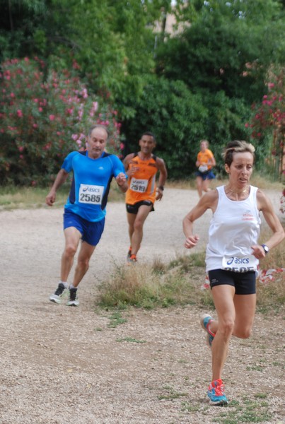 Solstizio d'estate ( C.E.)  (14/06/2015) 00017