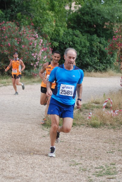 Solstizio d'estate ( C.E.)  (14/06/2015) 00018