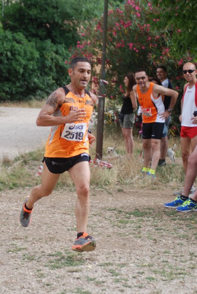 Solstizio d'estate ( C.E.)  (14/06/2015) 00020