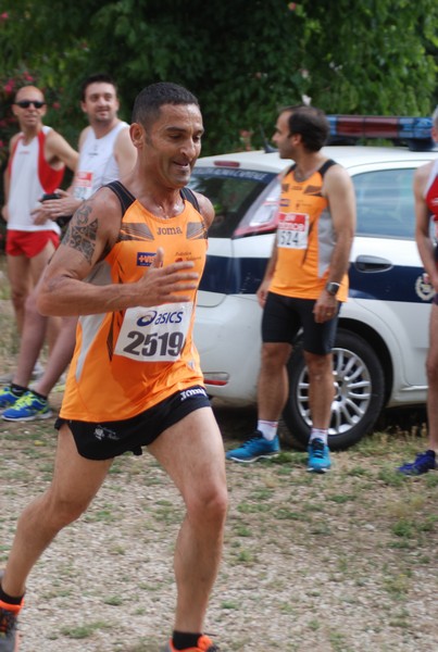 Solstizio d'estate ( C.E.)  (14/06/2015) 00021