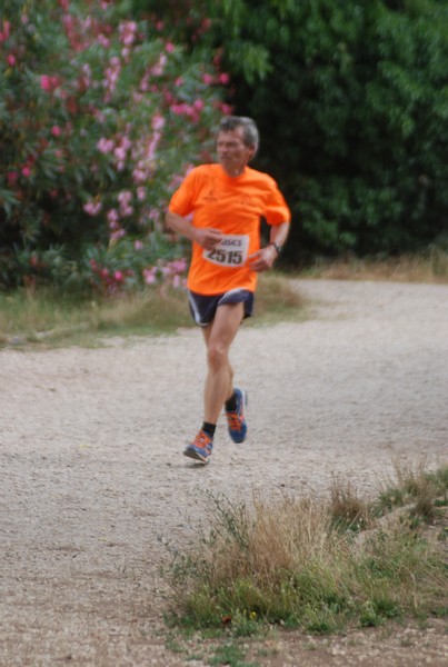 Solstizio d'estate ( C.E.)  (14/06/2015) 00023