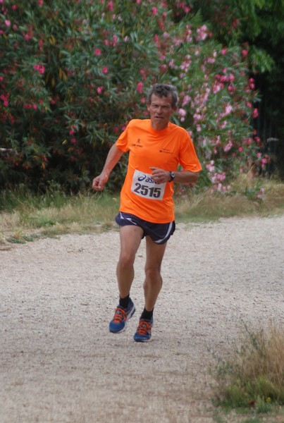 Solstizio d'estate ( C.E.)  (14/06/2015) 00024