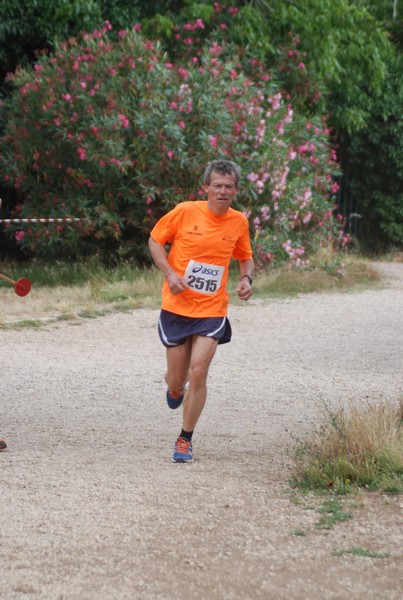 Solstizio d'estate ( C.E.)  (14/06/2015) 00025