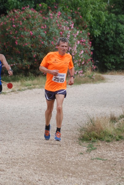 Solstizio d'estate ( C.E.)  (14/06/2015) 00026