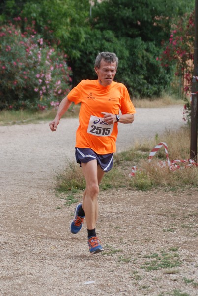 Solstizio d'estate ( C.E.)  (14/06/2015) 00028