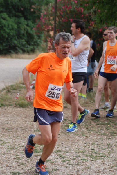 Solstizio d'estate ( C.E.)  (14/06/2015) 00029