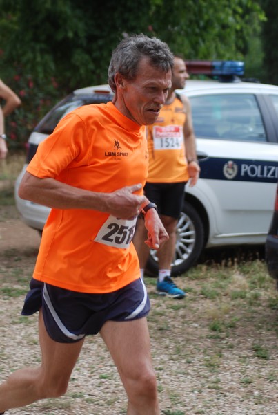 Solstizio d'estate ( C.E.)  (14/06/2015) 00030