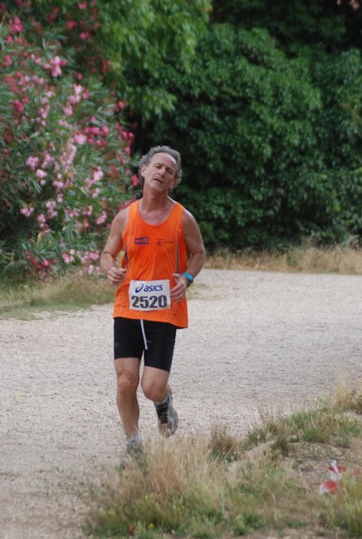 Solstizio d'estate ( C.E.)  (14/06/2015) 00032