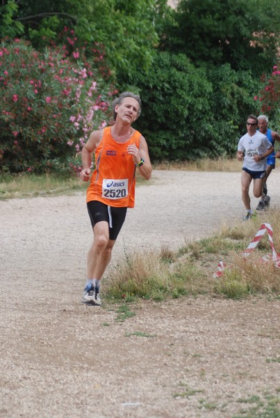 Solstizio d'estate ( C.E.)  (14/06/2015) 00034