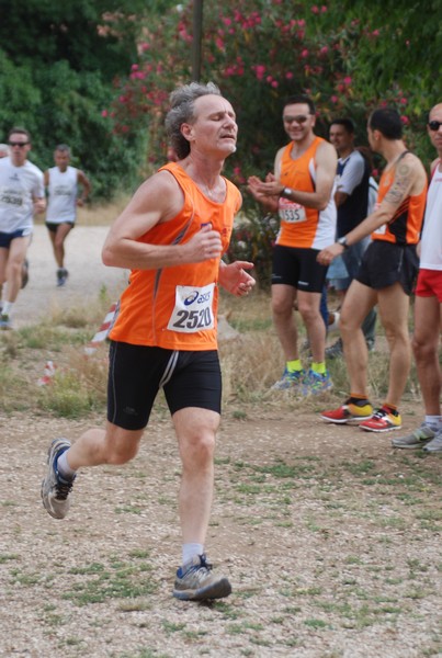 Solstizio d'estate ( C.E.)  (14/06/2015) 00036