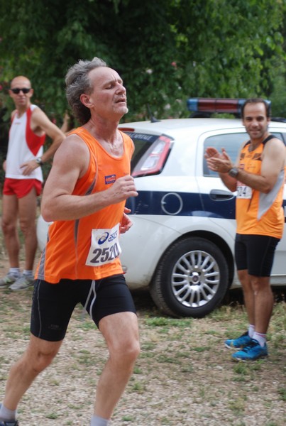 Solstizio d'estate ( C.E.)  (14/06/2015) 00037