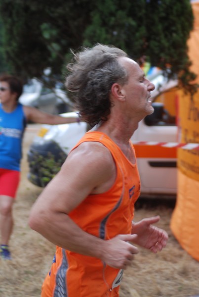 Solstizio d'estate ( C.E.)  (14/06/2015) 00039