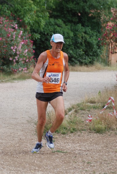 Solstizio d'estate ( C.E.)  (14/06/2015) 00043