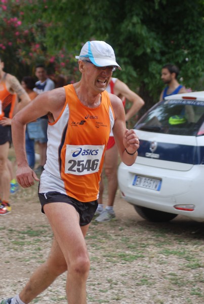 Solstizio d'estate ( C.E.)  (14/06/2015) 00045