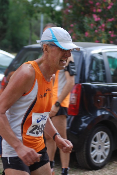 Solstizio d'estate ( C.E.)  (14/06/2015) 00046