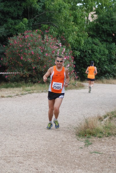 Solstizio d'estate ( C.E.)  (14/06/2015) 00047