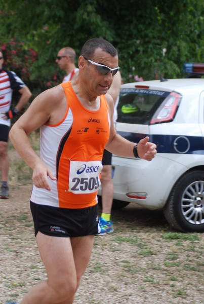 Solstizio d'estate ( C.E.)  (14/06/2015) 00051