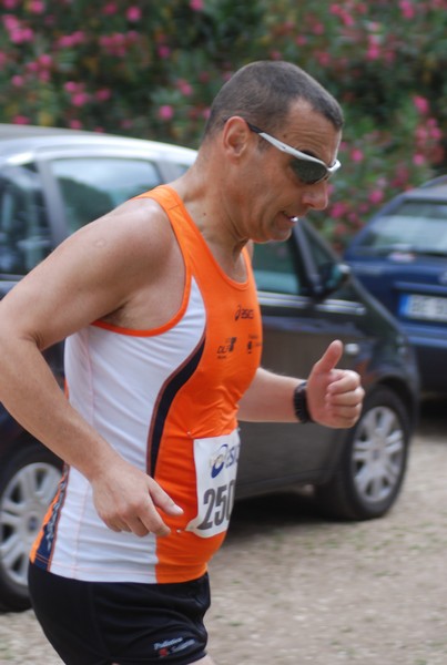 Solstizio d'estate ( C.E.)  (14/06/2015) 00052