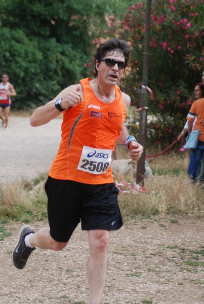 Solstizio d'estate ( C.E.)  (14/06/2015) 00058