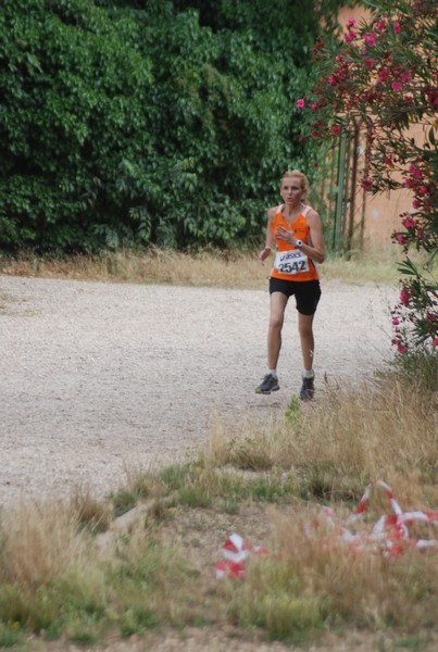 Solstizio d'estate ( C.E.)  (14/06/2015) 00061